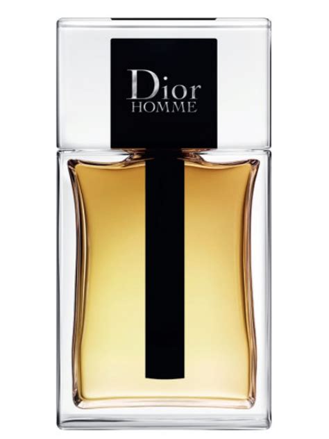 dior homme men's eau toilette|Dior Homme edt 2020.